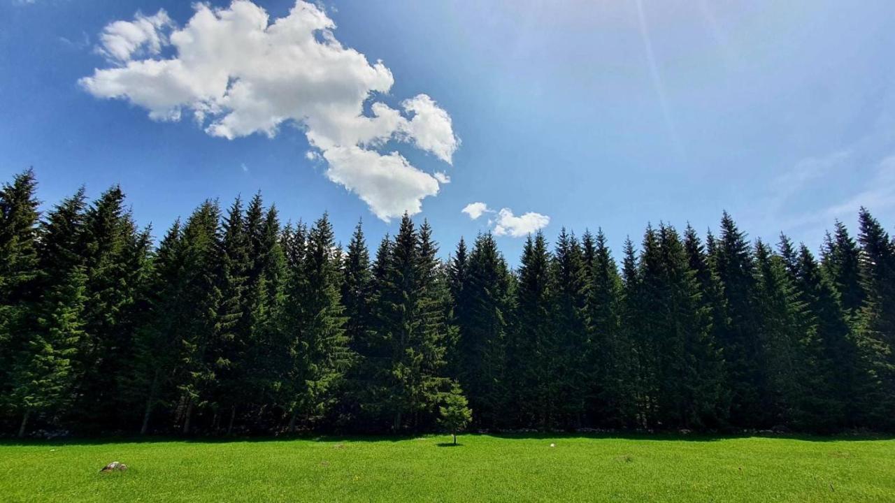 Rajska Suma Villa Zabljak  Exterior photo