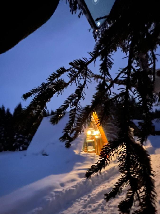 Rajska Suma Villa Zabljak  Exterior photo